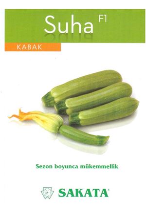 Suha F1 Beyaz Kabak Tohumu