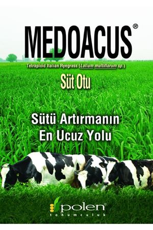 POLEN TOHUM MEDOACUS SÜT OTU  RYEGRASS  TOHUMU