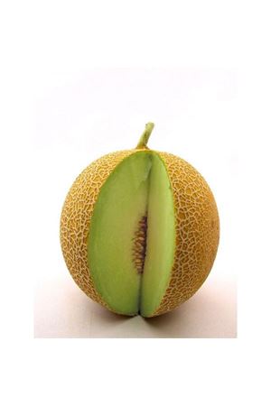 Arava F1 Kavun Tohumu