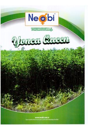 Queen Yonca Tohumu