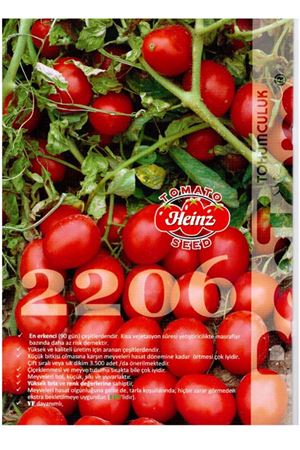Heinz 2206 Domates Tohumu