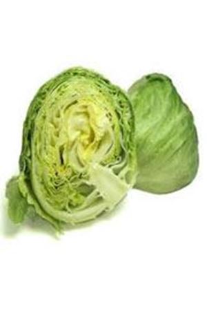 Chianti  İceberg Marul Tohumu