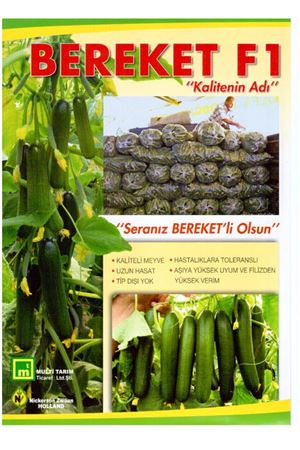 Bereket F1 Sırık Hıyar