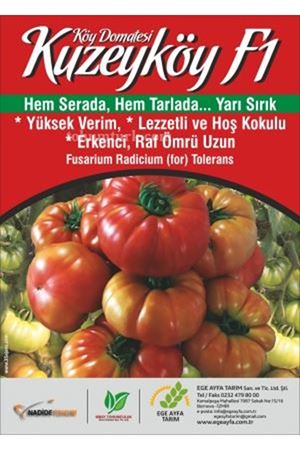 Kuzeyköy F1 Yarı Sırık Köy Domates Tohumu