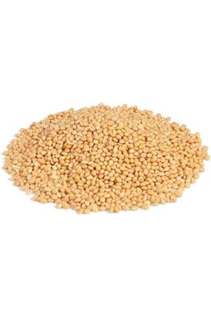 Ak Darı  Muhabet Kuşu Tohumu