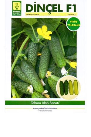 Dinçel F1 Kornişon Hıyar Tohumu