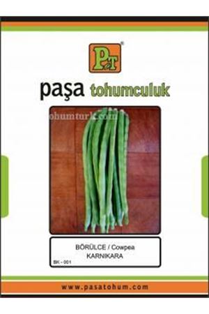 Börülce Tohumu Karnıkara