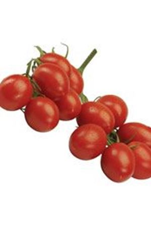 Pycachu F1  Mini Salkım Domates