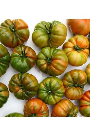 Alaturka F1 Spesial Domates