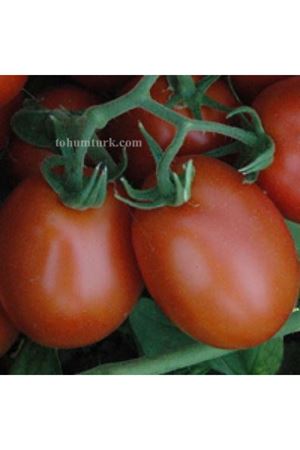 Xph5811 F1 Domates Tohumu