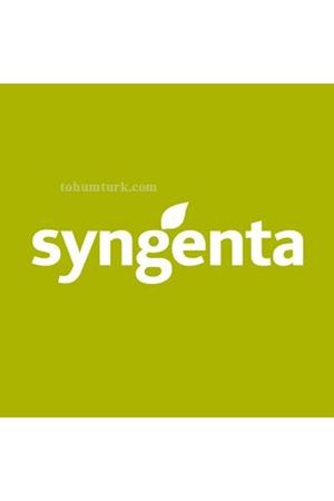 Hibrit Süs Bitkisi Tohumları