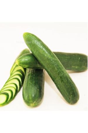 Altay F1 Salatalık Tohumu , Ambalaj : 2500 Adet