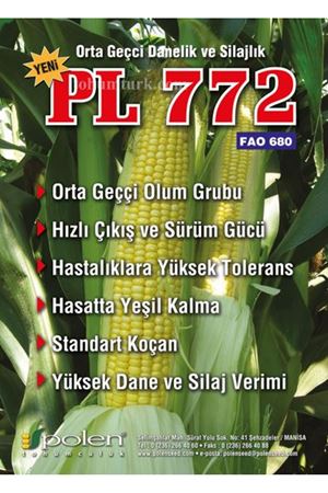 Torro ( Pl 772 ) Mısır Tohumu