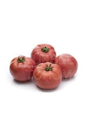 Gülçin F1 Oturak Pembe Köy Domatesi