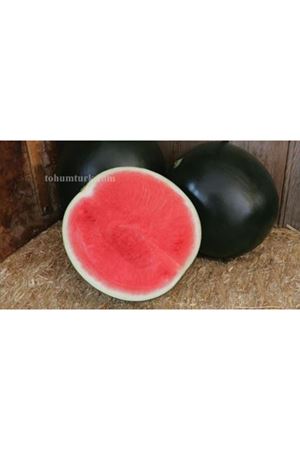 Style F1 Karpuz Tohumu