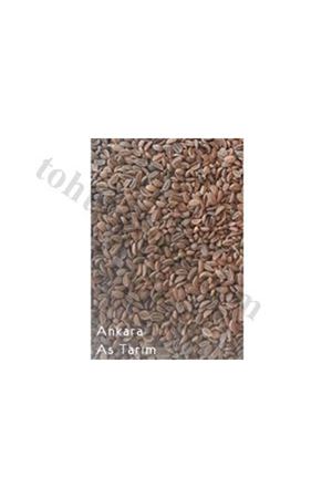 Anakara As Tarım Arı Otu Tohumu