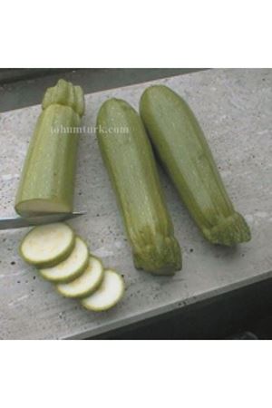 Topkapı F1 Kabak Tohumu