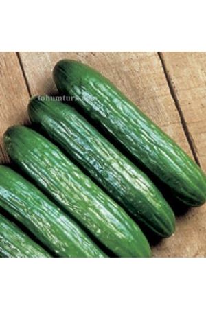 Toros Hıyar Tohumu , Ambalaj :100 Gr