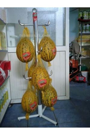 Tanem F1 Kavun Tohumu