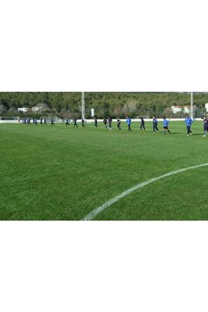 ULUSOY TOHUM CHAMPİON SPORT MİX  ÇİM TOHUMU