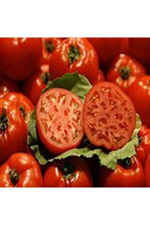 BOBCAT F1 OTURAK DOMATES TOHUMU