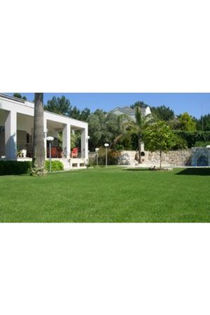 Ulusoy Tohum Holiday Çim Tohumu