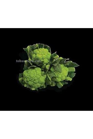 Tiguan F1 Karnabahar Tohumu