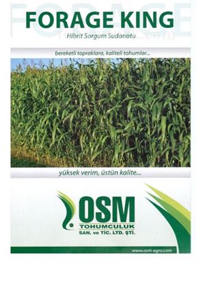 Forage King Hibrit Sorgum Sudan Otu