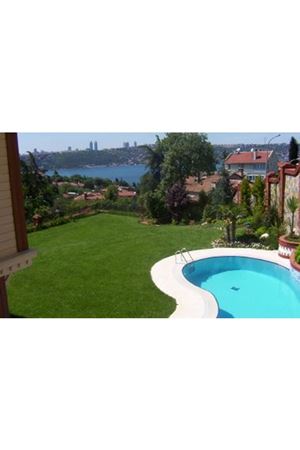 ULUSOY TOHUM 6M PRESTİGE ÇİM TOHUMU