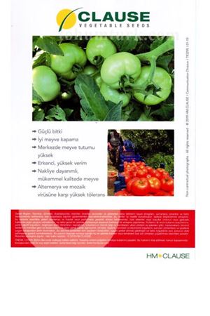 Devkon 203 F1 Domates Tohumu