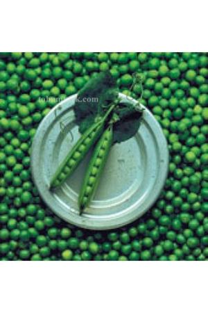 Utrillo Bezelye Tohumu