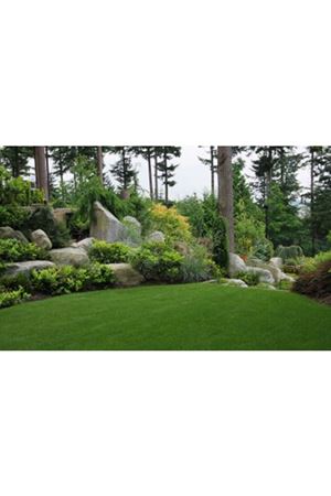 ULUSOY TOHUM 4M SAFİR ÇİM TOHUMU