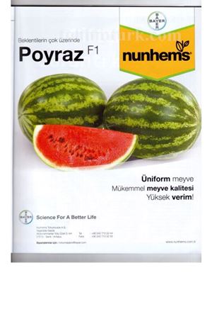 Poyraz F1 Karpuz Tohumu