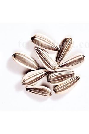 Shelly F1 Ayçekirdeği Tohumu