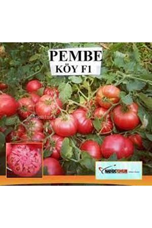 Pembe Köy F1 Pembe Oturak Köy Domatesi Tipi