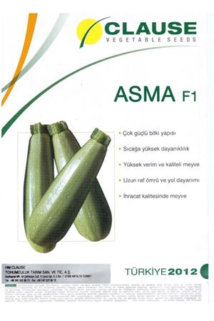 Asma F1 Kabak Tohumu