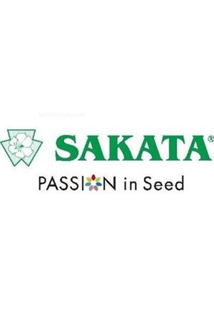 Hibrit Süs Bitkisi Tohumları