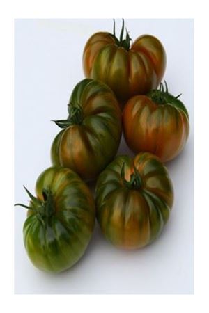 Yükselköy F1  Sırık Domates Tohumu