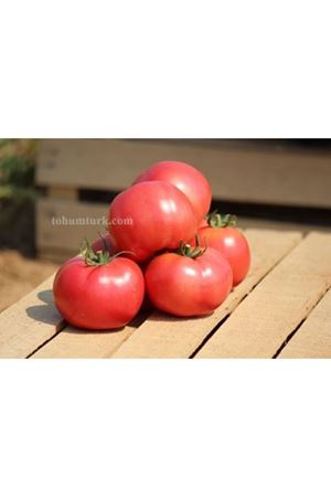 Hapynet F1 Oturak Pembe Domates Tohumu