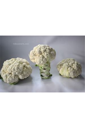 Erbeyaz F1 Erkenci Karnabhar Tohumu