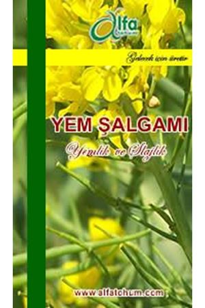 Yem Şalgamı  Yaprak Tipi