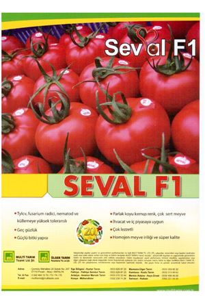 Seval F1 Domates