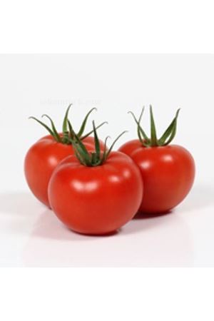 Azra F1 Sırık Domates Tohumu