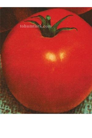 10 GRAM AMBALAJ ALTIN TOHUM H.2274 DOMATES TOHUMU KDV DAHİL FİYATI