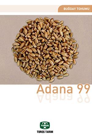 Adana 99 Buğday Tohumu