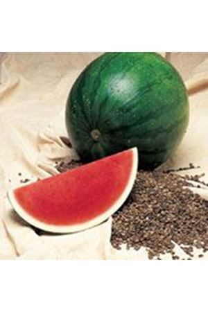 Palomar F1 Çekirdeksiz Karpuz