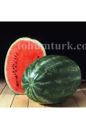Celine F1 Karpuz Tohumu