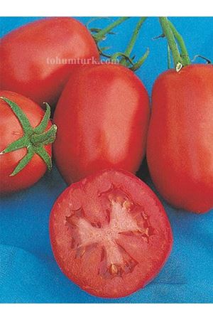   10 GRAM AMBALAJ  ALTIN TOHUM RİO GRANDE SALÇALIK DOMATES TOHUMU KDV DAHİL ADET FİYATI