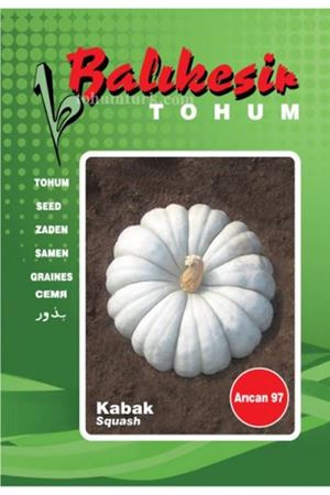 Arıcan 97 Balkabağı Tohumu