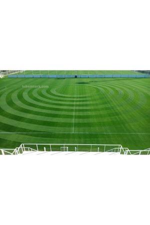 Premier Mix Çim Tohumu